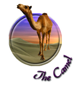 series 2 camel