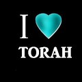 1593 love torah