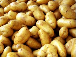 potatoes